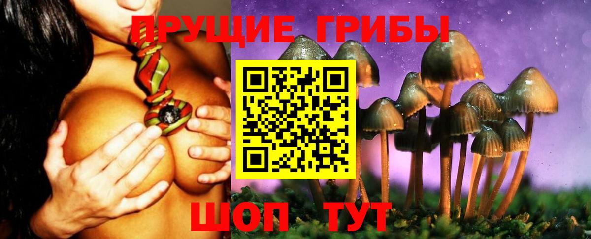 Бирск  Псилоцибиновые грибы мицелий  Псилоцибиновые грибы мицелий  Вход с VPN 